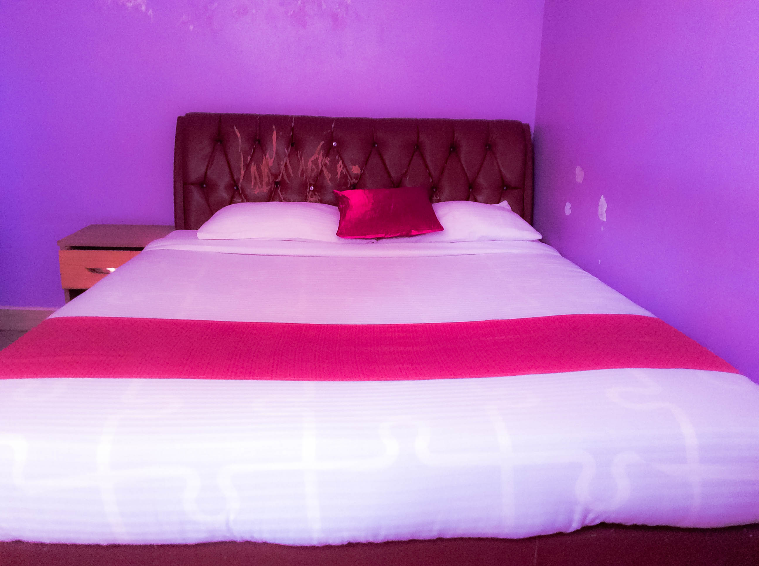 Elephant Suite - Image 2