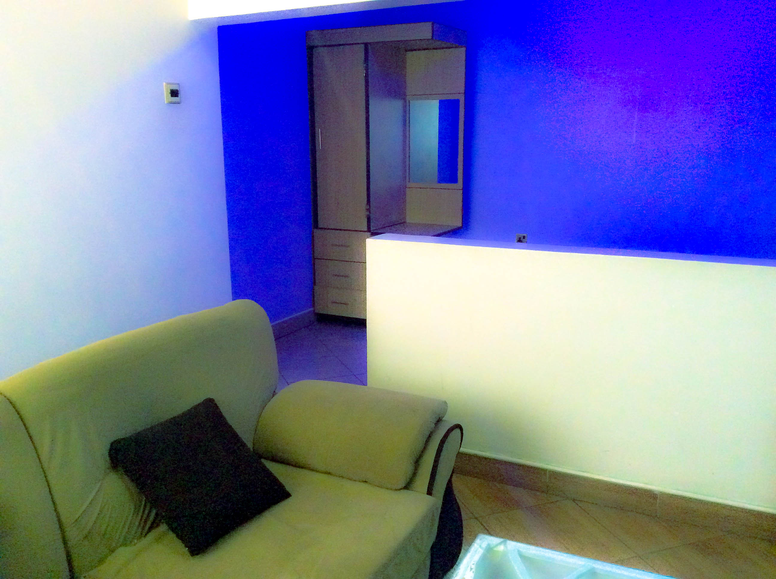 Leopard Suite - Image 1