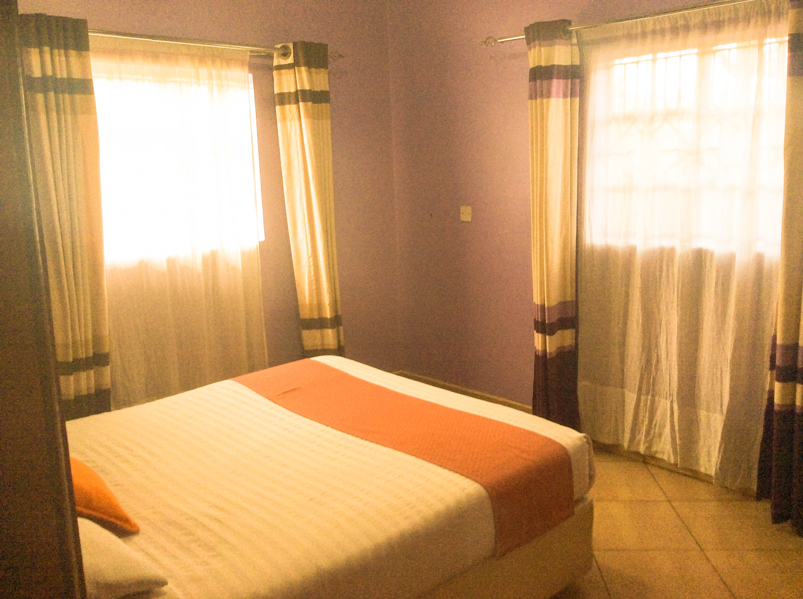 Lion Suite - Image 2